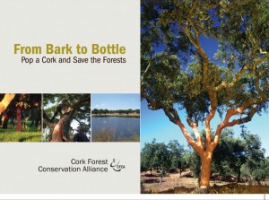 corkforest-broschure